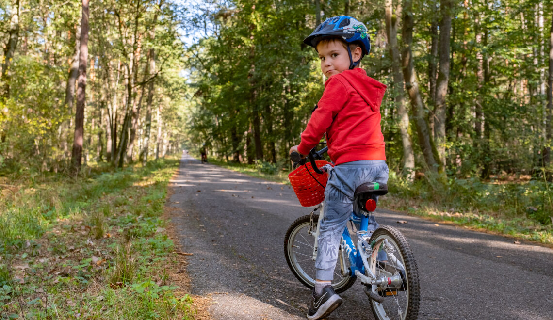 Puszcza Niepołomicka na rowerze z dziećmi