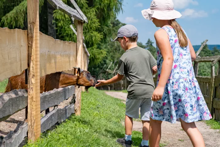 Zamek Tenczyn, Muzeum Agatów i Zamkowa Zagroda w Rudnie – co musisz wiedzieć?